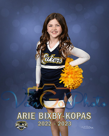 BixArie_Individual_3