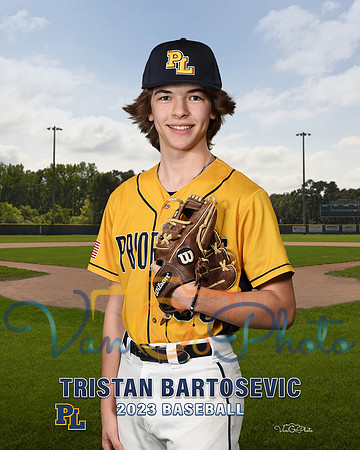 BarTris_Individual_2
